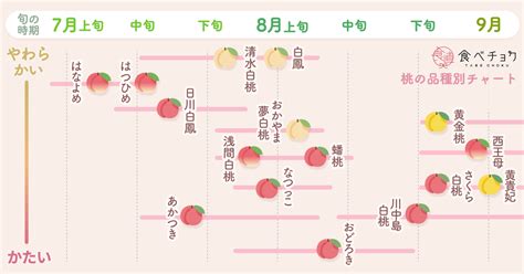 桃樹種類|【桃の世界を探検しよう】桃の品種40種類を特徴ごと。